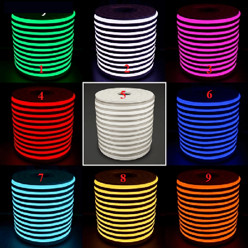 màu sắc của đèn led neonsign